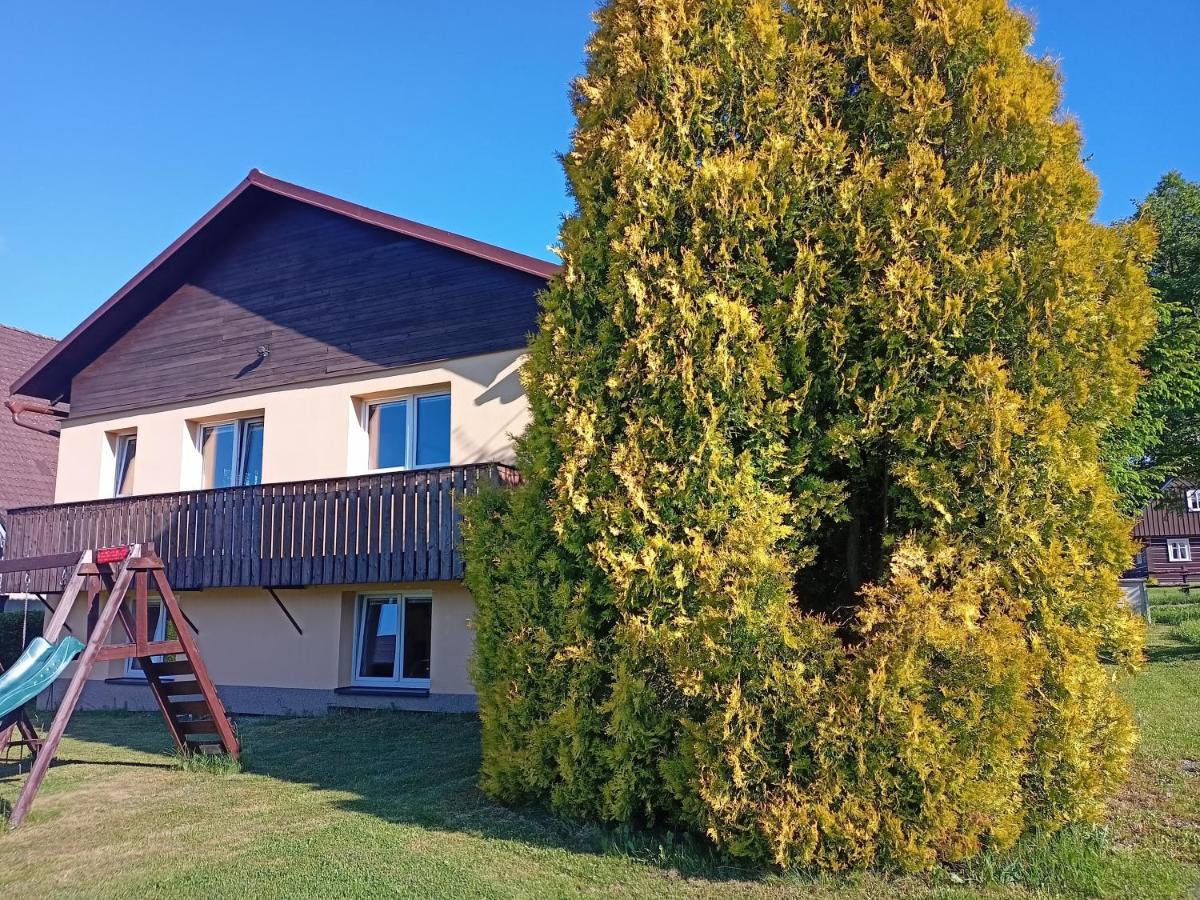 Vila Marianna Destne v Orlickych horach Kültér fotó
